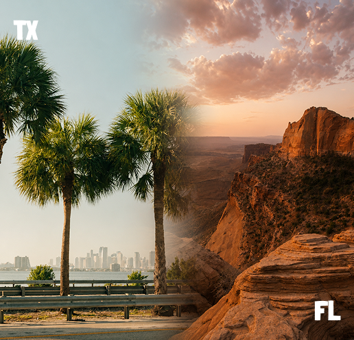 Texas to Florida Auto Transport